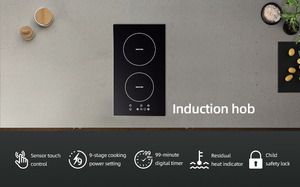 CB and CE Certification 30cm Built-<b>In</b> Induction Cooker With 2 Burner Induction Home Appliances - Product Image 2