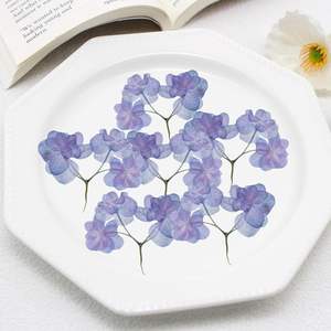 <span class=keywords><strong>Fleurs</strong></span> <span class=keywords><strong>séchées</strong></span> d'hortensia avec tige pour embellissements artisanaux en résine, 100PCS <span class=keywords><strong>Fleurs</strong></span> <span class=keywords><strong>séchées</strong></span> pressées pour bijoux <span class=keywords><strong>DIY</strong></span> Phone Case Decor - Product Image 2