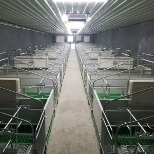 Cage de mise bas de haute qualité à prix d'usine – Équipement d'élevage porcin pour optimiser le bien-être animal et l'efficacité de la ferme - Product Image 6