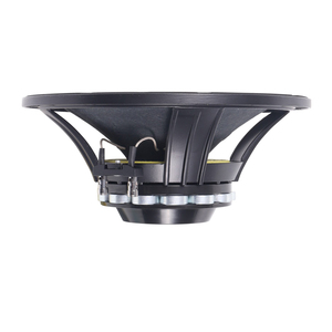 <span class=keywords><strong>Line</strong></span> <span class=keywords><strong>Array</strong></span> sistemleri için yüksek güç 10 inç PA hoparlör orta bas Woofer neodimyum sürücü 300Watt Watt Impedance empedans Metal kabuk - Product Image 3