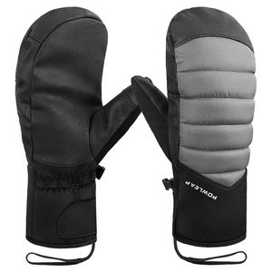 Gants de ski mitaines gants d'hiver isolés durables pour l'<span class=keywords><strong>alpinisme</strong></span> écran tactile gants de snowboard thermiques pour hommes femmes - Product Image 1