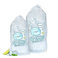 Sacs à glace de haute qualité avec cordon de serrage 8lbs 10lbs 20lbs, sacs à glaçons réutilisables, sacs en plastique, rangement portable et conservation au congélateur