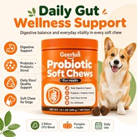 OEM ODM Soutien Digestif pour Animaux de Compagnie Santé Intestinale Prébiotique à Croquer Foie de Poulet 180 Comprimés Friandises Probiotiques Tendres pour Chiens de Toutes Races