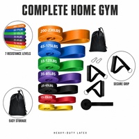 Juego de 7 Bandas de Resistencia con Anclaje para Puerta y Asas, Bandas de Ejercicio de Látex para Gimnasio en Casa, Entrenamiento de Fuerza, 5-230 LBS