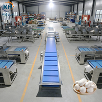 Máquina Clasificadora de Frutas y Verduras Azul Marca KEHONG 40001100900, Dimensiones 200KG de Peso