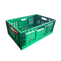 Panier caisse en plastique à mailles mobiles pliable, empilable, HDPE, stockage, agriculture, oeufs, fruits et légumes