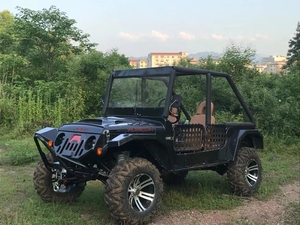 Mini Jeep Utilitaire pour Adultes et Enfants, Transport Spécialisé, Couleur et Logo Personnalisables, Voiture Mini Jeep, Camions Jeep - Product Image 6