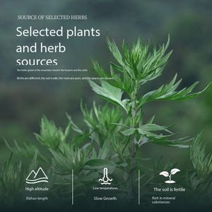 Protector Diario Desechable de Algodón Suave para Mujer, Sin Alas, con Extracto Herbal <span class=keywords><strong>Kampo</strong></span>, Transpirable, Ligera Absorbencia, Antibacteriano - Product Image 3