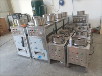 Automatische Knoflook Ui Fruit Schilmachine 1000kg/u Capaciteit Hoge Efficiëntie 304 RVS 220V 1 Jaar Garantie