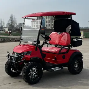 48/72V New Style Electric Golf Buggy 2 Seat Sightseeing Bus Club Cart With DOT Hunting Equipped Tail Caddie Standing Position