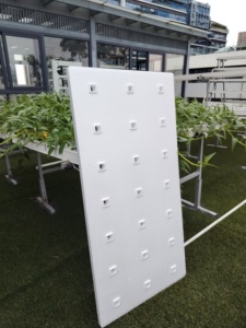 ถาดปลูกผักแบบไฮโดรโปนิกส์แบบลอยน้ำ DWC สำหรับปลูก<span class=keywords><strong>ผัก</strong></span>ในร่ม กล่องปลูกผักไฮโดรโปนิกส์ในร่ม สวนปลูกผักไฮโดรโปนิกส์ในร่ม - Product Image 5