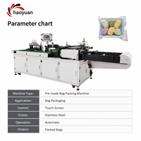 Machine d'emballage de sacs préformés HAOYUAN HYZK-100 à haute efficacité avec écran tactile PLC, convoyeur d'entrée et de sortie, et structure en acier durable