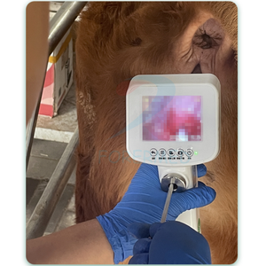 Instrumento Veterinario Pistola de Inseminación Artificial Visual Portátil Equipo de Inseminación Artificial para Vaca y Cerdo - Product Image 5