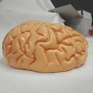 जीवन का आकार 3-भाग मानव मस्तिष्क शरीर रचना मॉडल-विनिर्मित चिकित्सा शिक्षण उपकरण - Product Image 4