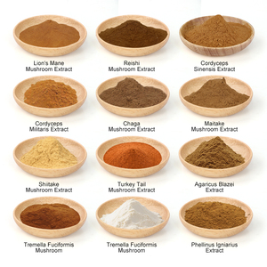 Poudre d'extrait de champignon <span class=keywords><strong>Shiitake</strong></span> biologique de qualité alimentaire AMULYN 1 kg, poudre d'extrait de Lentinus Edodes - Product Image 5