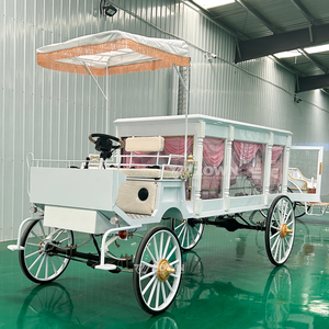 ZOWN 4WD Silent Electric Hearse 60V 80A Battery Solid Wheels <b>Pink</b> Curtain - Product Image 1