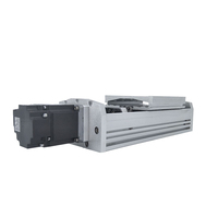 Longyao 6061 Mesa deslizante motorizada de movimiento lineal de aluminio, 2 ejes XY, con rodamientos, guía lineal para máquina CNC
