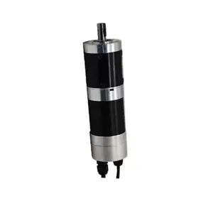 DC 24V 5A 0.5Nm 2000RPM 100W 1:20,1:50 (Opsional) Channel Gate Servo Motor Speed Gate Dc Servo Motor