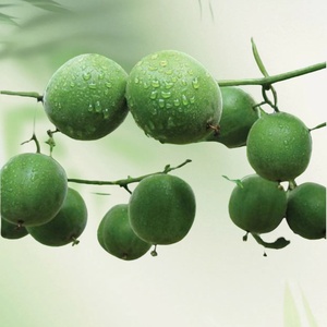 Nhà máy cung cấp Hữu Cơ mogroside <span class=keywords><strong>V</strong></span> <span class=keywords><strong>Luo</strong></span> <span class=keywords><strong>han</strong></span> <span class=keywords><strong>Guo</strong></span> chiết xuất tinh khiết tự nhiên chất làm ngọt nhà sư chiết xuất từ quả - Product Image 2