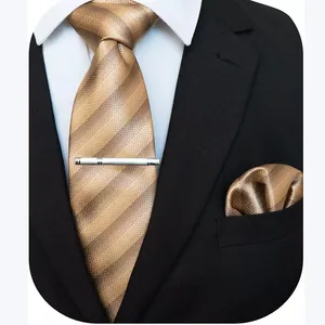 China Supplier Business Necktie polyester ties business mens neck tie