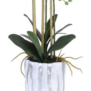 โอ้ อาร์ตส์ แมนูแฟคเจอร์ ขายดี ของตกแต่งบ้าน ดอกกล้วยไม้พิมพ์ 3 มิติ สัมผัสเหมือนจริง พร้อมกระถาง สำหรับตกแต่งบ้านและระเบียง - Product Image 6