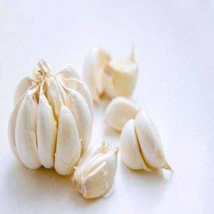 Pó de Alho Exclusivo para Alimentação, Extrato de Alho Envelhecido, 90% de Ingrediente Ativo Aliin, Cultivo Artificial em Frasco - Product Image 3