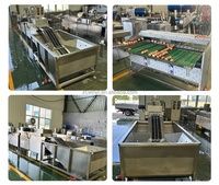 Industriële SUS304 automatische eierwasmachine met reiniging, sortering, verpakking, droging en sterilisatie