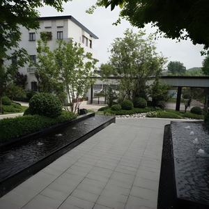 Conception <span class=keywords><strong>de</strong></span> paysage Nexus Consultation gratuite Rendu <span class=keywords><strong>3D</strong></span> Villa moderne écologique Conception graphique <span class=keywords><strong>de</strong></span> cour arrière extérieure - Product Image 1