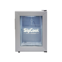 Mini-congélateur vertical Meisda SD21 de 21 L en acier inoxydable pour bâtonnets de crème glacée et sucettes glacées, idéal pour la maison et l'hôtellerie