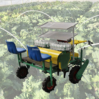 Betterave d'aubergine efficace et facile à utiliser, machine de repiquage de semis de plantation de serre de poivre