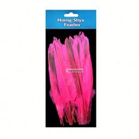 Plume de canard naturelle grise pour artisanat d'art bricolage coiffure chapeau cheveux Costume accessoire carnaval fête mariage maison Halloween décor