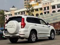 Haval H9 Luxe Essence SUV 2020 2021 2022 Bonne Qualité Quatre Roues Motrices Sièges en Cuir Luxe Voitures d'Occasion Pas Chères