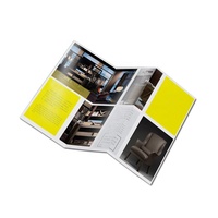 LEISA Échantillon Gratuit Personnalisé Brochure/Flyer Tri-plié Imprimé Recto-Verso en Carton Kraft Couché Papier Offset Design Couleur Promotionnel
