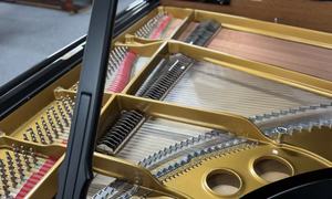 <span class=keywords><strong>Piano</strong></span> de cola Steinway de primera calidad, fabricado en Alemania, 88 teclas, teclado de madera maciza, sonido claro y potente para sala de conciertos - Product Image 6