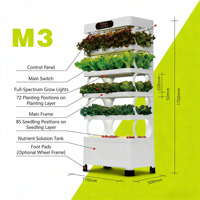 Machine de culture hydroponique de légumes M3 170x77x40cm, écologique, avec LED à spectre complet, 18 lumières, contrôle de l'irrigation NFT, maison intelligente