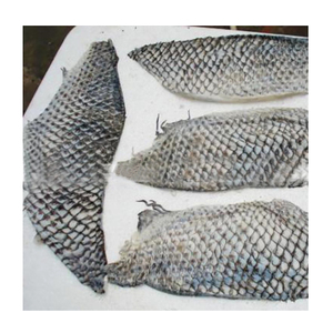 Fish Processing Production Lines Machinery Flatfish Skin Peeling Machine Tuna Fish Peeler - Product Image 3