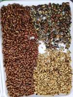 Trieur de couleur optique pour haricots Machine de tri de couleur en gros pour céréales Blé Maïs Graines d'arachide Noix Grain Trieur de couleur
