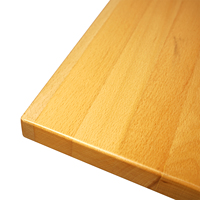 Table basse carrée élégante et moderne en bois de hêtre massif pour la maison, le bureau, l'hôtel ou le restaurant Design contemporain
