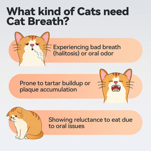 Alimento para Pollos, BREATH para Pollos, Golosinas Masticables para Mascotas, Salud Respiratoria y <span class=keywords><strong>de</strong></span> las Vías Respiratorias, Salud Orgánica <span class=keywords><strong>de</strong></span> la Piel y el Pelaje, Tipo Barra - Product Image 5