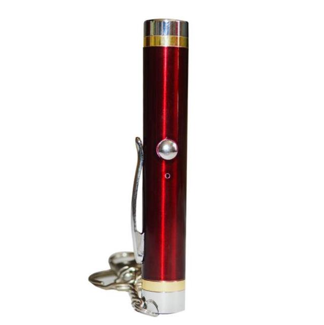 Mini Keychain USB Rechargeable Red Laser Pointer Pen 2-in-1 with Customizable Logo for School & Office Use 1-Year Warranty
