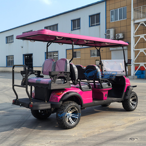 Voiturette de golf électrique 4x4 rose 48V/60V 2-4-6 places, personnalisable, couleur au choix, vente chaude - Product Image 5