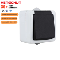 Interruptores y Enchufes de Pared, Interruptor de Pared Eléctrico Europeo de 2 Gangs, Interruptor de Pared RF, Enchufe de Pared con Interruptor de Luz, Enchufe de Pared Australiano