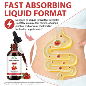 Private Label OEM 500mg Wilde Berberine HCL Tinctuur Supplementen Natuurlijke Biologische Ceylon Kaneel Berberine Vloeibare Druppels - Product Image 3