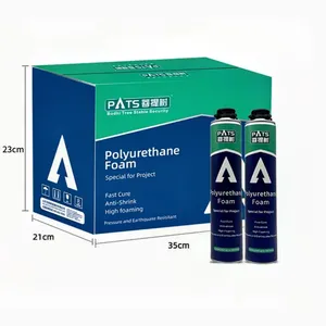 Goede Kwaliteit Hoge Densi Speciaal Voor Project Gezamenlijke Kit Spray Gesloten Cel 750Ml Pu Schuim