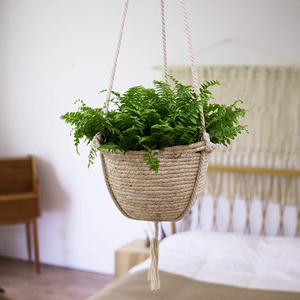 Vente en gros de panier à plantes suspendu pour l'herbe de mer tissée à la main pour la décoration de la maison Mini pot de fleur pour l'intérieur et le jardin - Product Image 4
