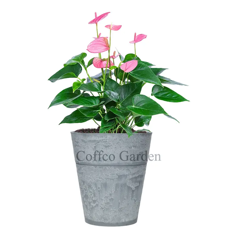 Coffco - أصيص زهور بلاستيكي كبير, 18 بوصة بتأثير حجري, مزهرية نباتات بونساي مخصصة اللون، ديكور حديقة