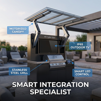 Collection de pods de barbecue professionnels modernes et robustes pour l'extérieur, cuisine modulaire en acier inoxydable avec réfrigérateur intégré et barbecue à gaz