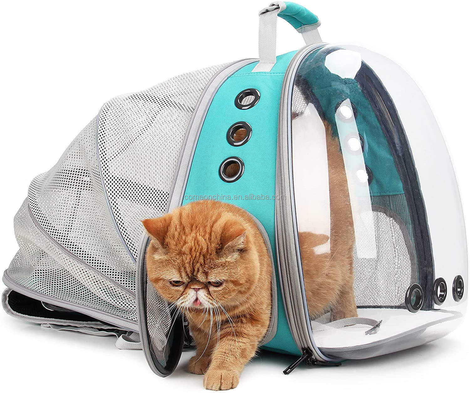 Back Expandable-Green