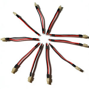 Профессиональный производитель OEM/ODM: Изготовленный на заказ электронный кабельный жгут из ПВХ для подключения двигателя, с разъемами JST/Molex, <span class=keywords><strong>2</strong></span>-контактный - Product Image 3