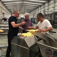 Elektrische gasgestookte stoomverwarmingsmachine voor het maken van diepvriesfrieten, 200 kg/uur frietproductielijn